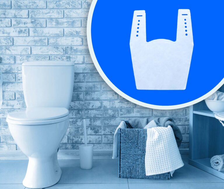Toilet Shield